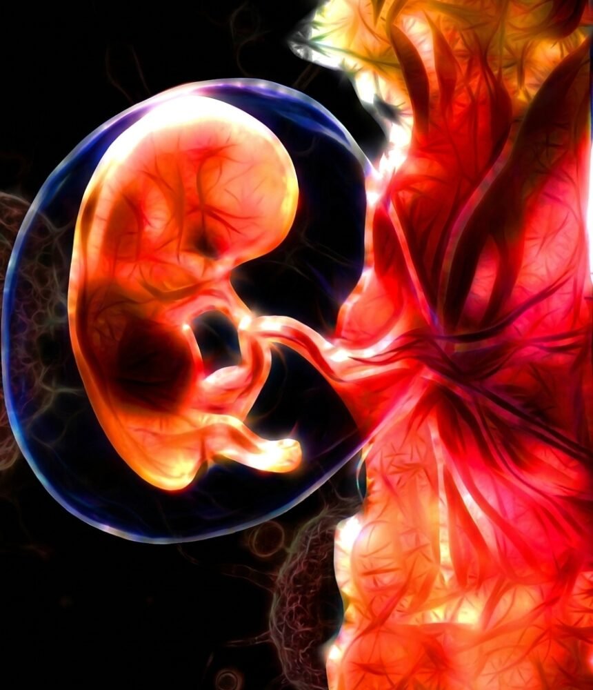 EGG-Embryo Pooling