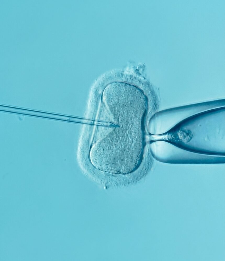 Oocyte Freezing